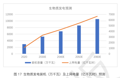 生物质能在碳中和进程中的关键作用分析——基于生物质能资源数据库信息系统的视角